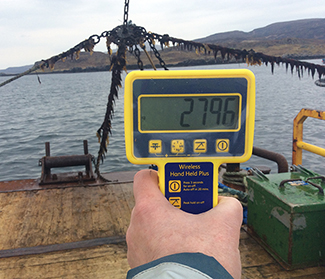 Seafood Firm Expands Straightpoint Load Cell Fleet using handheld plus with radiolink loadcell