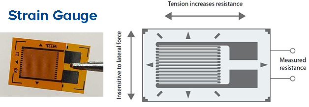 sp strain gauge